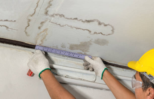 Reliable Burst Pipe Cleanup contractor in Ithaca, NE by Water Damage Irwin